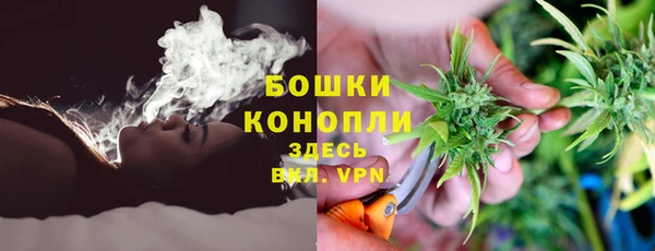 дурь Арсеньев