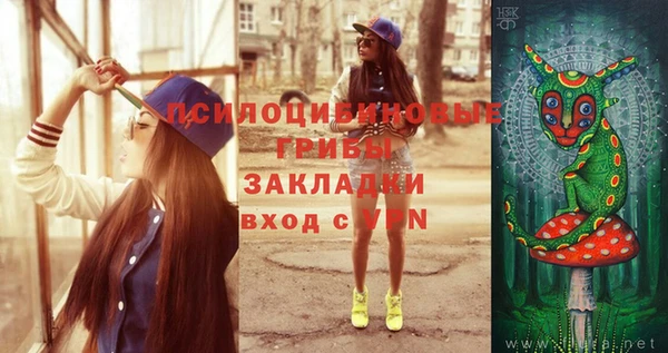 дурь Арсеньев
