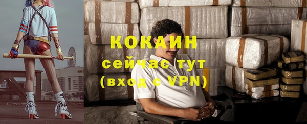 дурь Арсеньев