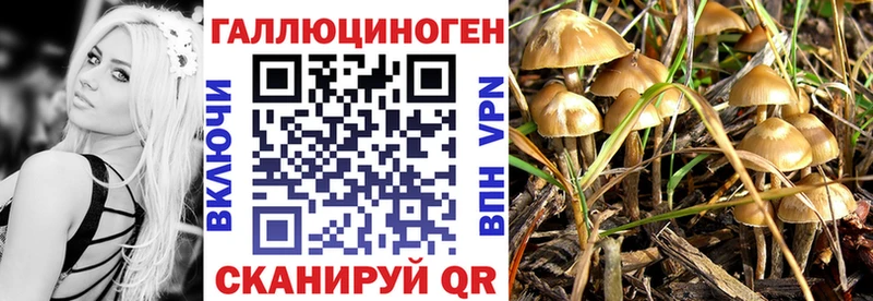 даркнет формула Пугачёв Псилоцибиновые грибы мухоморы кракен как зайти